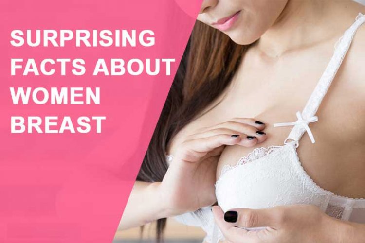 Surprising & Fun Facts About Boobs You Probably Didn't Know