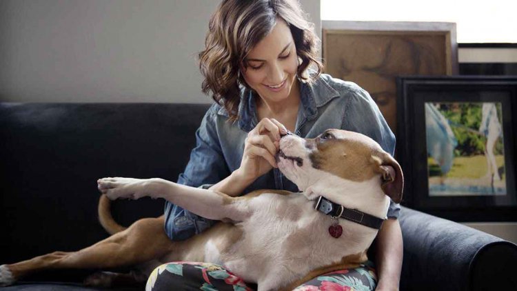 Why a Dog Is A Perfect Aid For Anxiety Sufferers