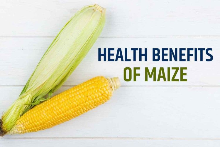 Bhutte Ke Fayde: 5 Secret Health Benefits of Maize That You Should Definitely Know