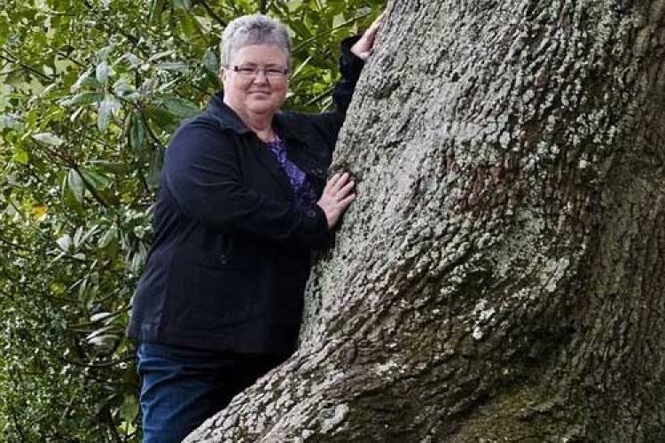Affair with English Oak Tree