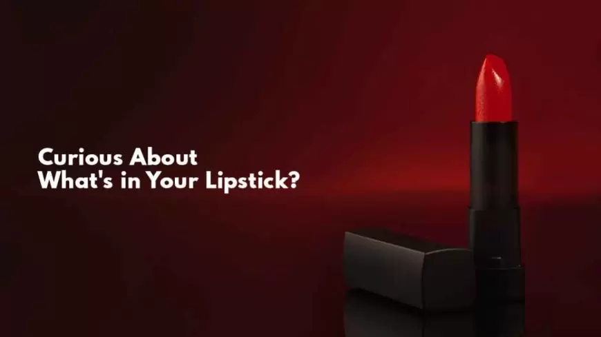 How To Make Lipstick - Which Material Used In Lipstick ?