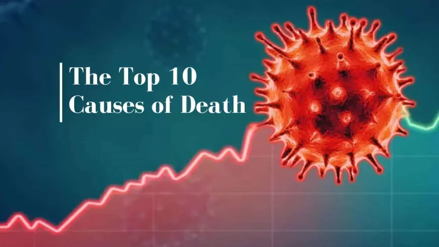 10 Causes of Death in Humans around the World 2022