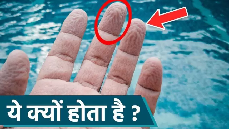 Wrinkly Fingers: पानी में उंगलियां क्यों सिकुड़ती हैं ?
