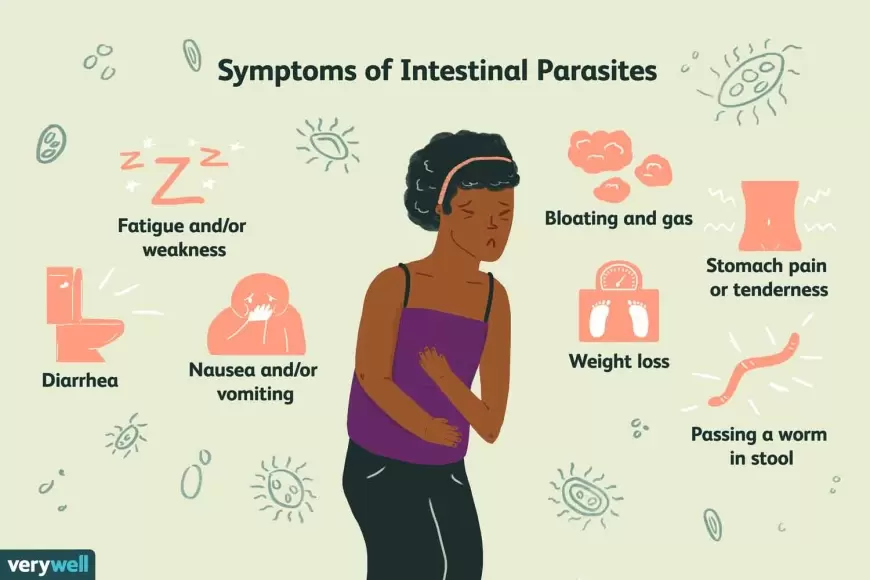 Top 10 Most Common Signs of Parasite Infection