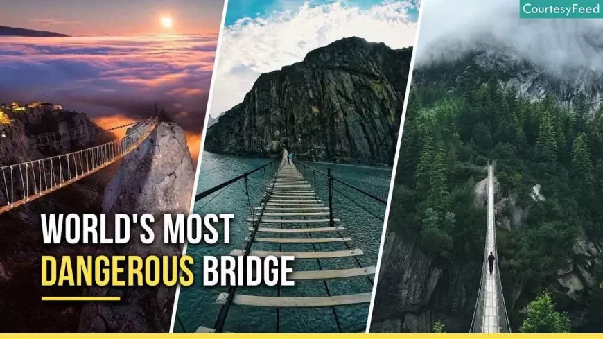 Would You Dare to Cross the World's Most Dangerous Bridges?